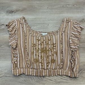 American Eagle Striped Ruffle Sleeve Embroidered Crop Top